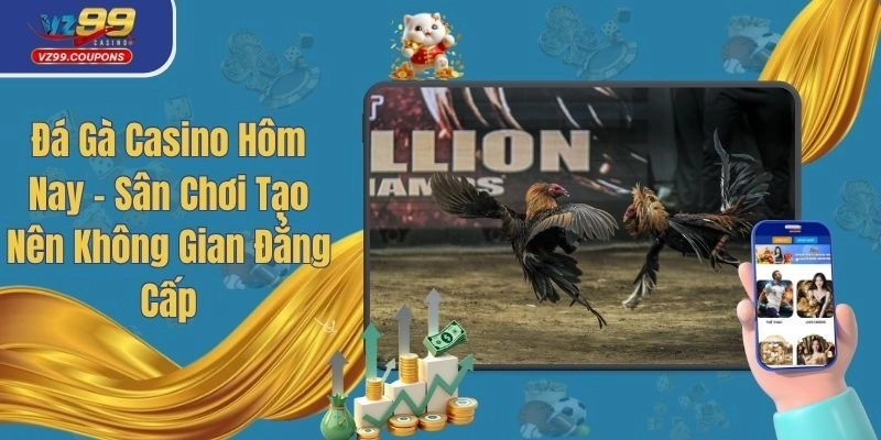 Đá Gà Casino Hôm Nay - Sân Chơi Tạo Nên Không Gian Đẳng Cấp