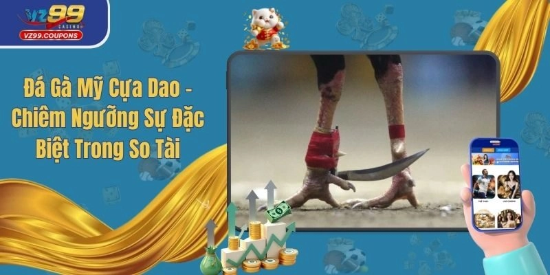 Đá Gà Mỹ Cựa Dao - Chiêm Ngưỡng Sự Đặc Biệt Trong So Tài