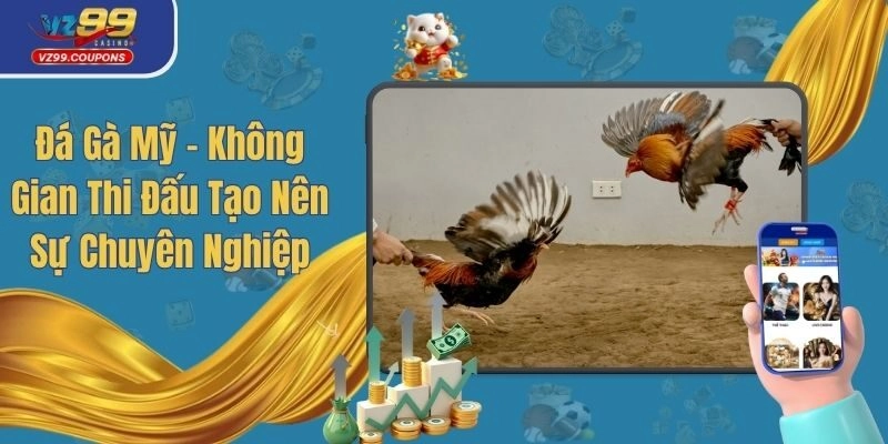 Đá Gà Mỹ - Không Gian Thi Đấu Tạo Nên Sự Chuyên Nghiệp