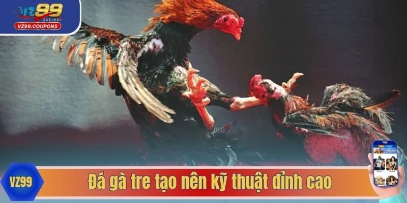 Đá gà tre tạo nên kỹ thuật đỉnh cao