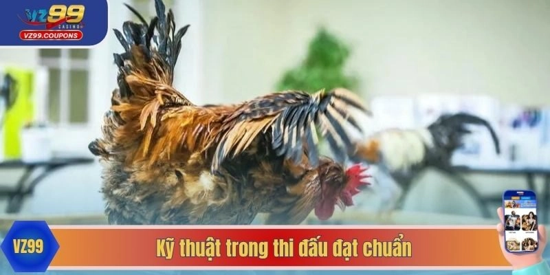Kỹ thuật trong thi đấu đạt chuẩn