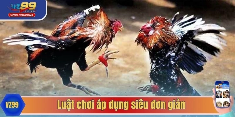 Luật chơi áp dụng siêu đơn giản